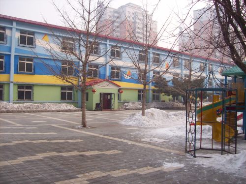 The school and playground
